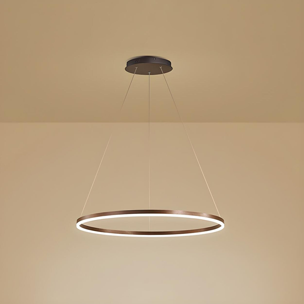 Modern Minimalist Circular LED Dining Room Pendant Light Image - 9