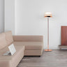 Modern Minimalist Rose Gold Dome Metal Floor Lamp Image - 3