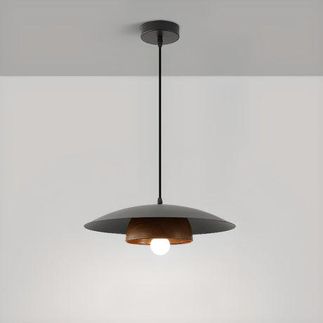 Modern Minimalist Wide Dome Walnut and Iron Pendant Light Image - 2