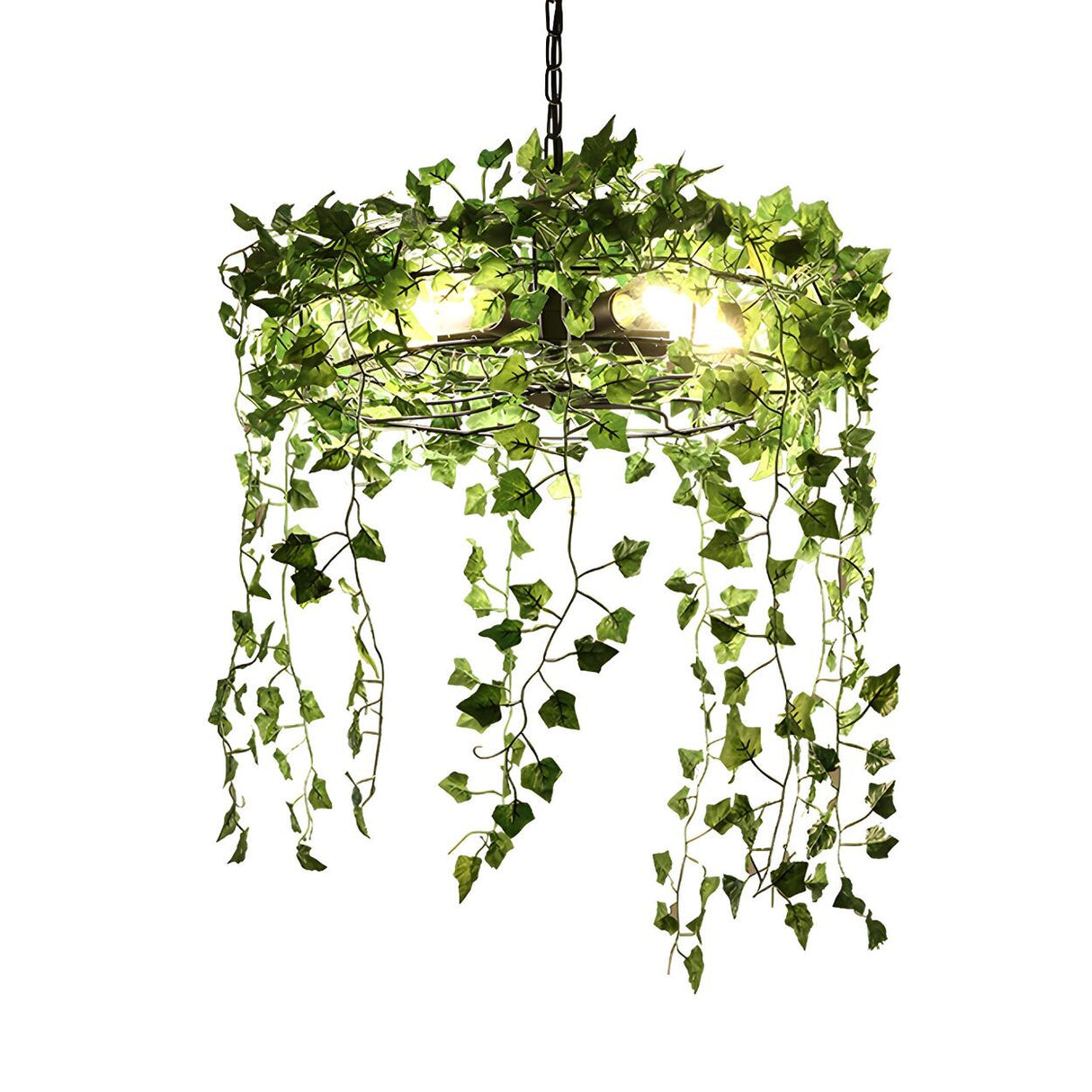 Modern Natural Green Ivy Plant Round Restaurant Chandelier Image - 4