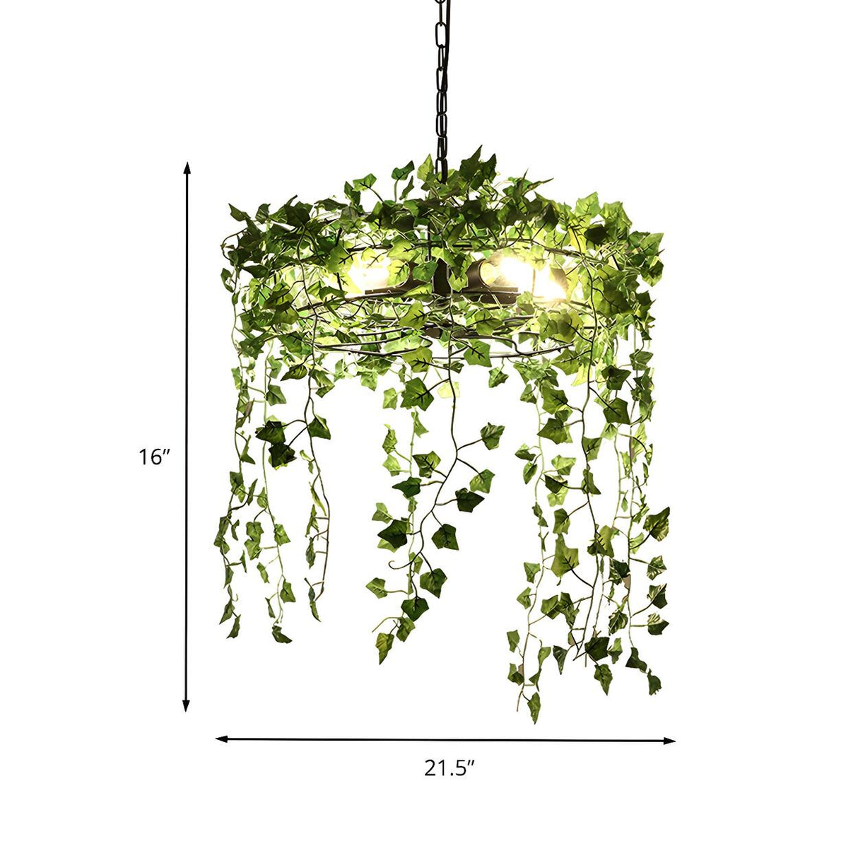 Modern Natural Green Ivy Plant Round Restaurant Chandelier 