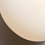 Modern Organic Glass Pebble LED Wall Light Fixture Image - 24