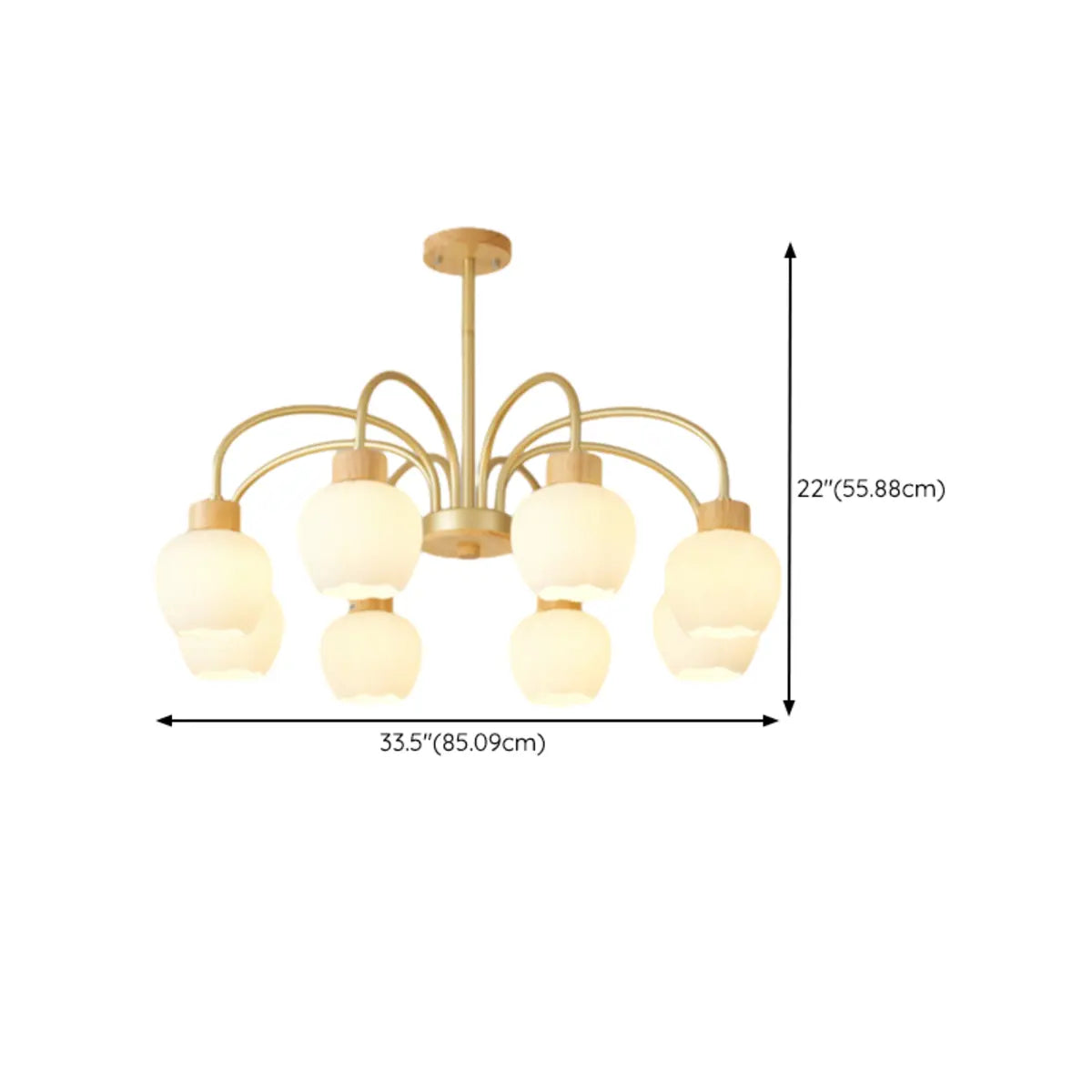 Modern Petal Glass Ceiling Light with 6 Bulbs Image - 12