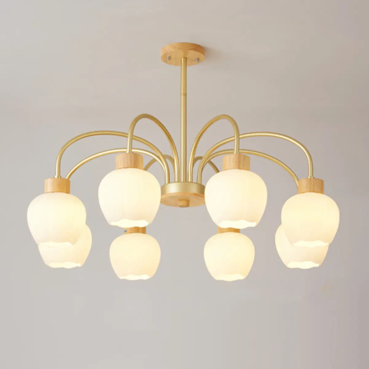 Modern Petal Glass Ceiling Light with 6 Bulbs Image - 6