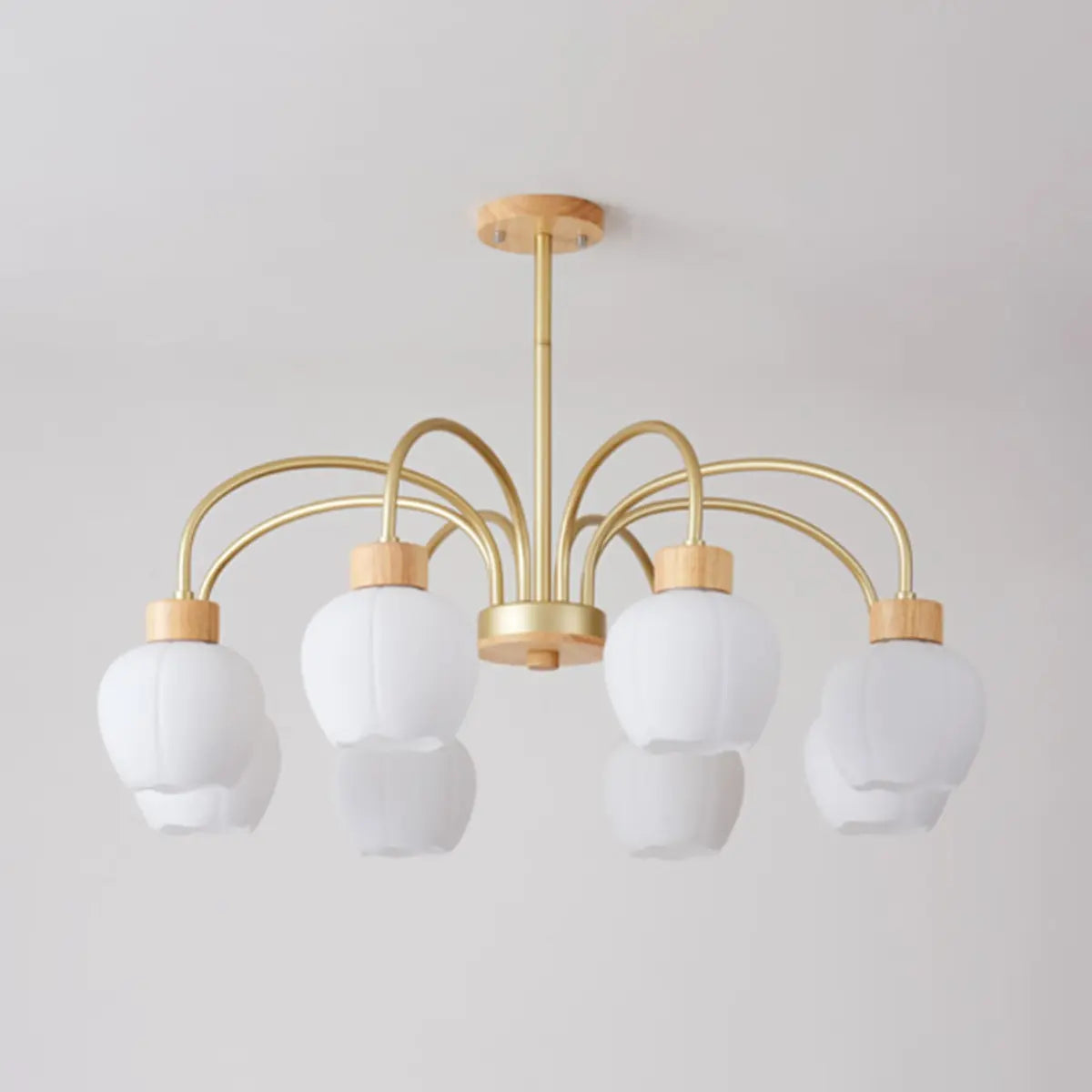 Modern Petal Glass Ceiling Light with 6 Bulbs Image - 7