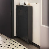 Modern Rectangular Metal Entryway Black Large Shoe Cabinet Image - 24