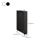 Modern Rectangular Metal Entryway Black Large Shoe Cabinet Image - 38