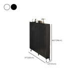 Modern Rectangular Metal Entryway Black Large Shoe Cabinet Image - 40