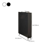 Modern Rectangular Metal Entryway Black Large Shoe Cabinet Image - 45