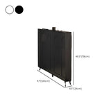 Modern Rectangular Metal Entryway Black Large Shoe Cabinet Image - 47