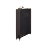 Modern Rectangular Metal Entryway Black Large Shoe Cabinet Image - 9