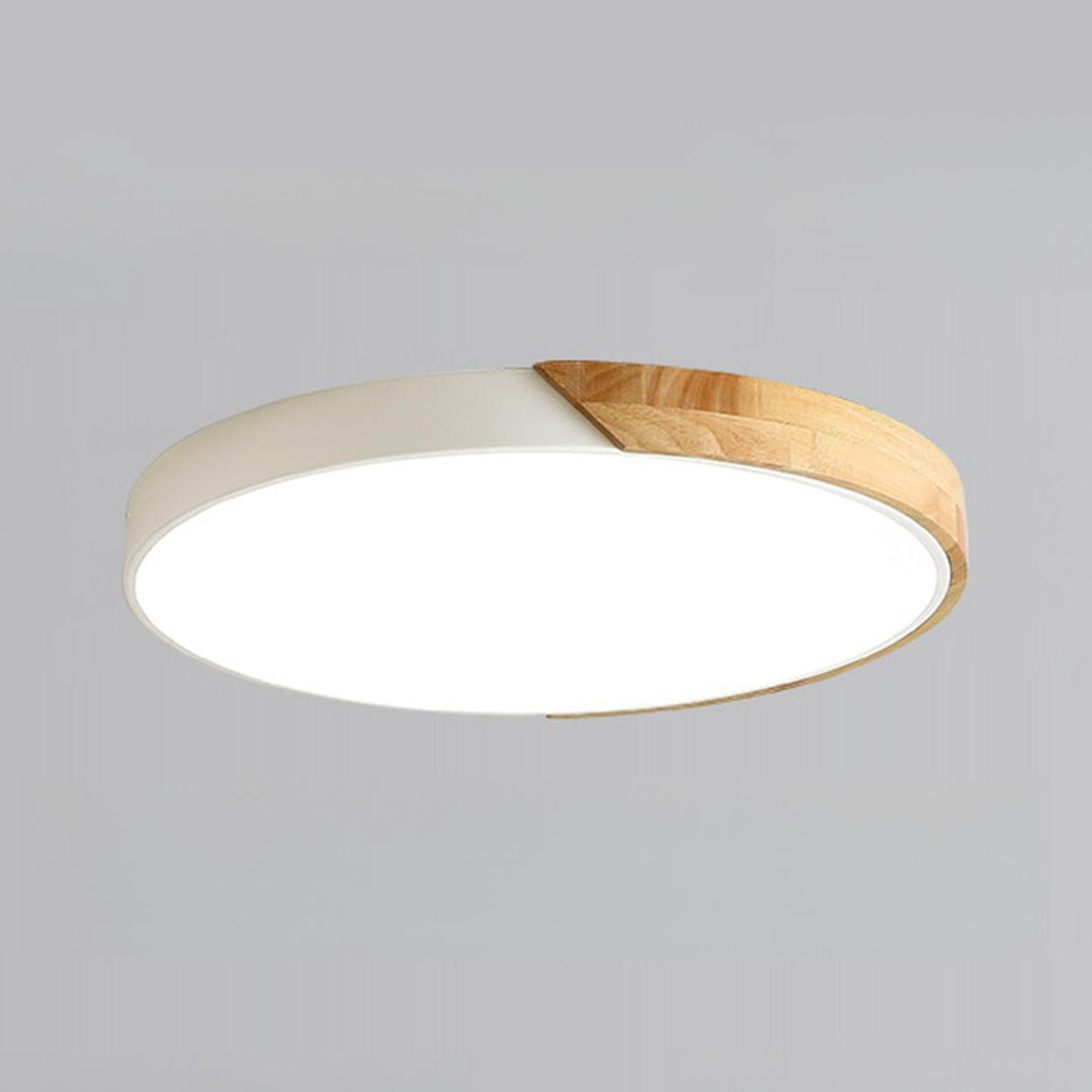 Modern Rectangular Mounted Flush Mount Ceiling Light Image - 13