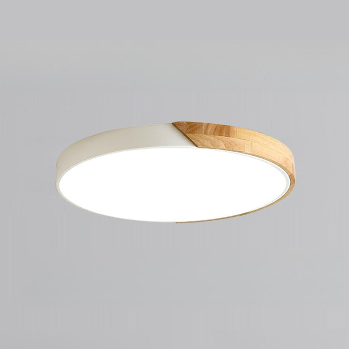 Modern Rectangular Mounted Flush Mount Ceiling Light Image - 14