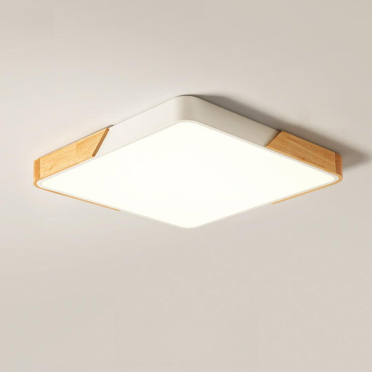 Modern Rectangular Mounted Flush Mount Ceiling Light Image - 18