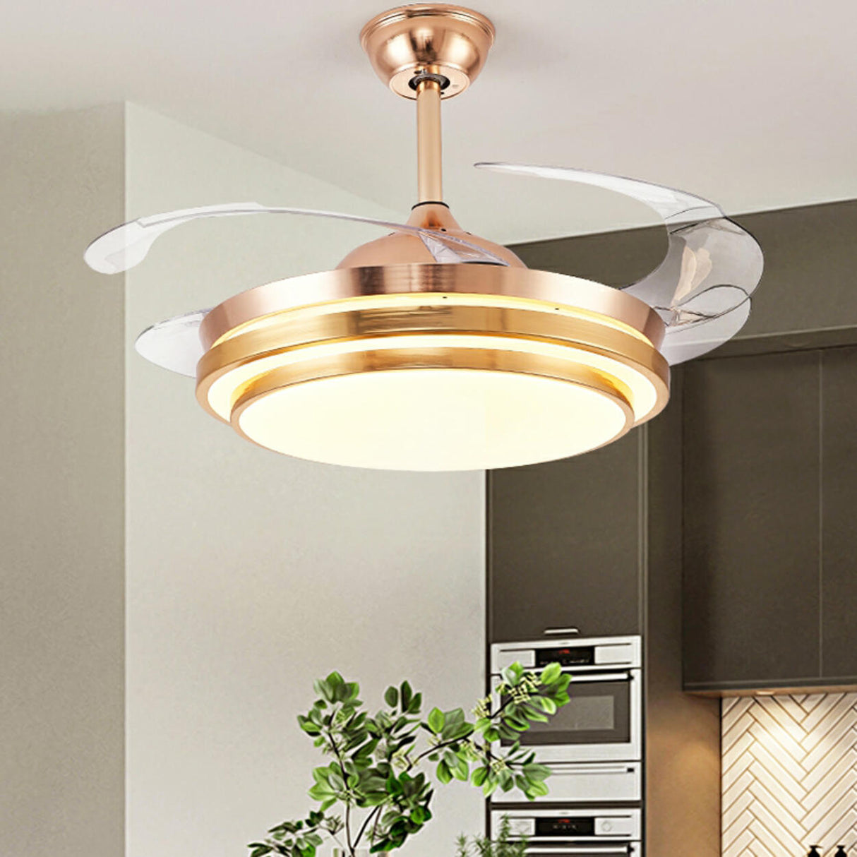 Modern Retractable Blade Round Metal Ceiling Fan Light Image - 7