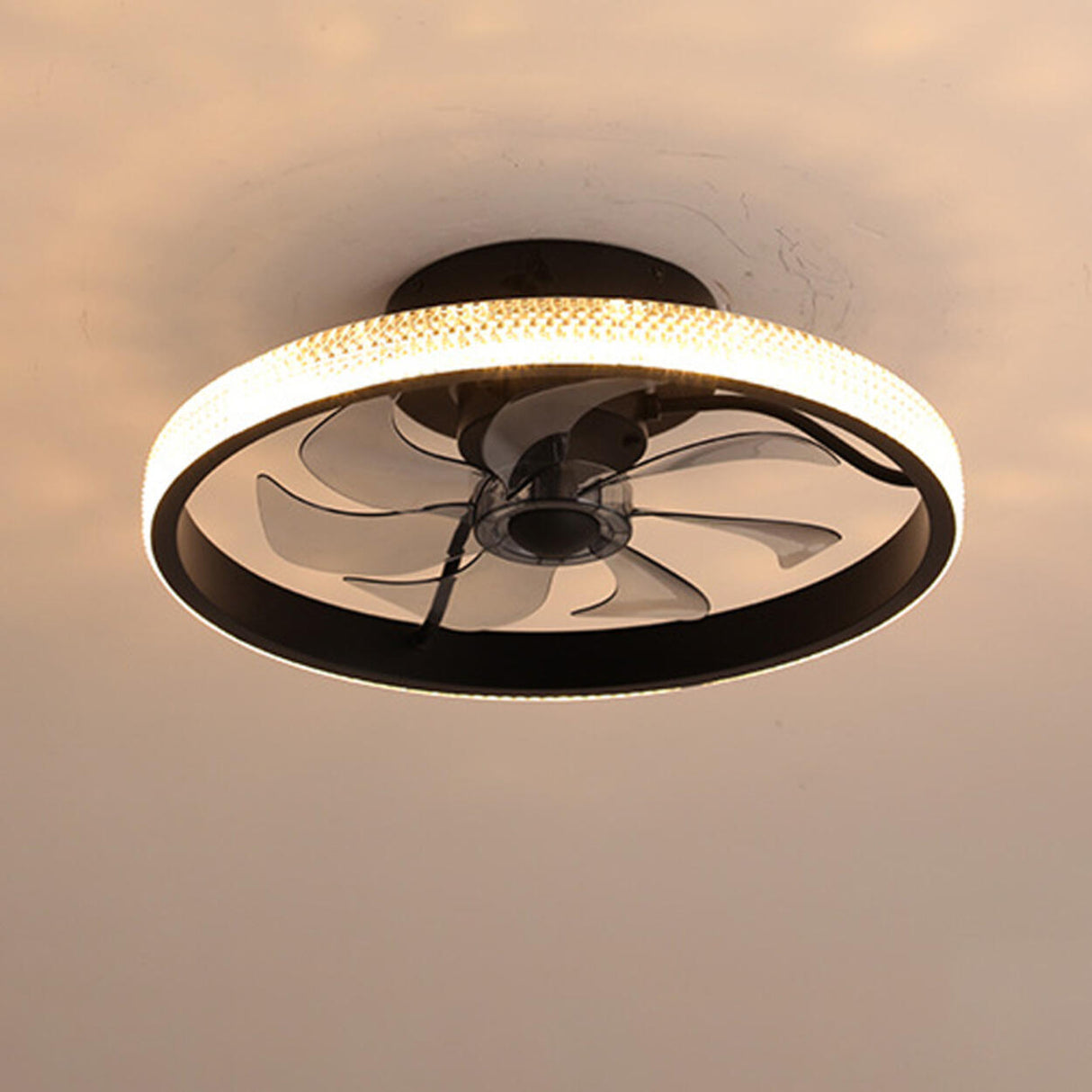 Modern Round Clear Blades Ceiling Fan with LED Light Image - 6