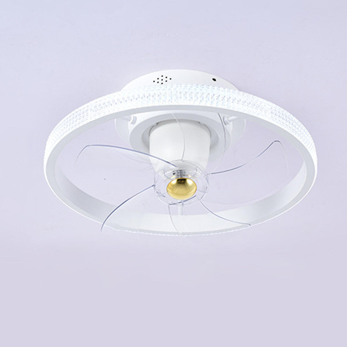 Modern Round Clear Blades Ceiling Fan with LED Light Image - 9