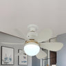 Modern Simple 6 Blade Dimming Ceiling Fan with Light Image - 11