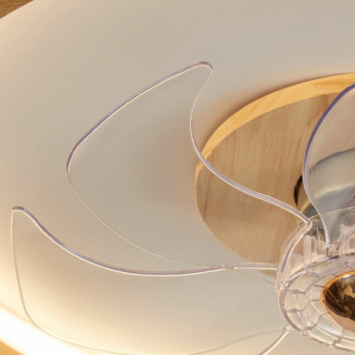 Modern Simple Circular Flush Ceiling Fan with Light Image - 12