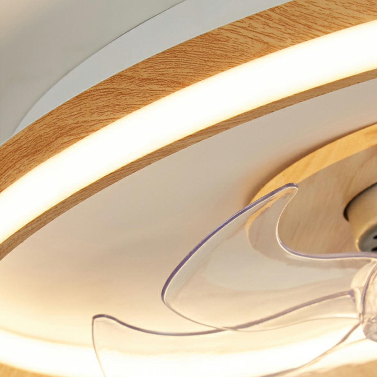 Modern Simple Circular Flush Ceiling Fan with Light Image - 13