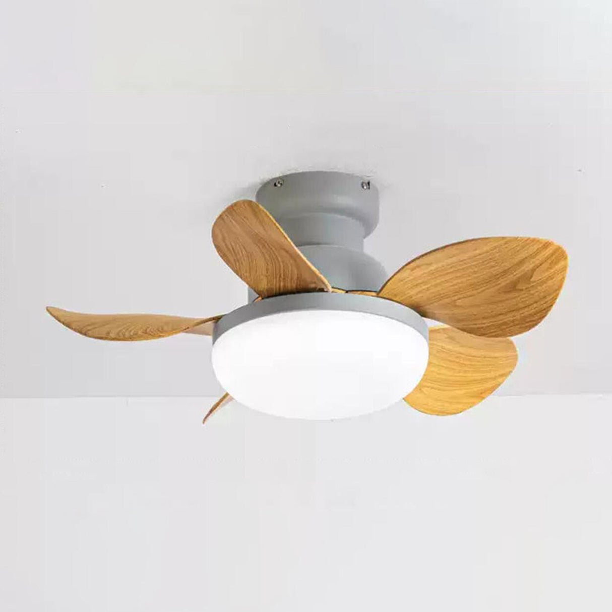 Modern Simple Flower 5 Blade Ceiling Fan with LED Light Image - 12