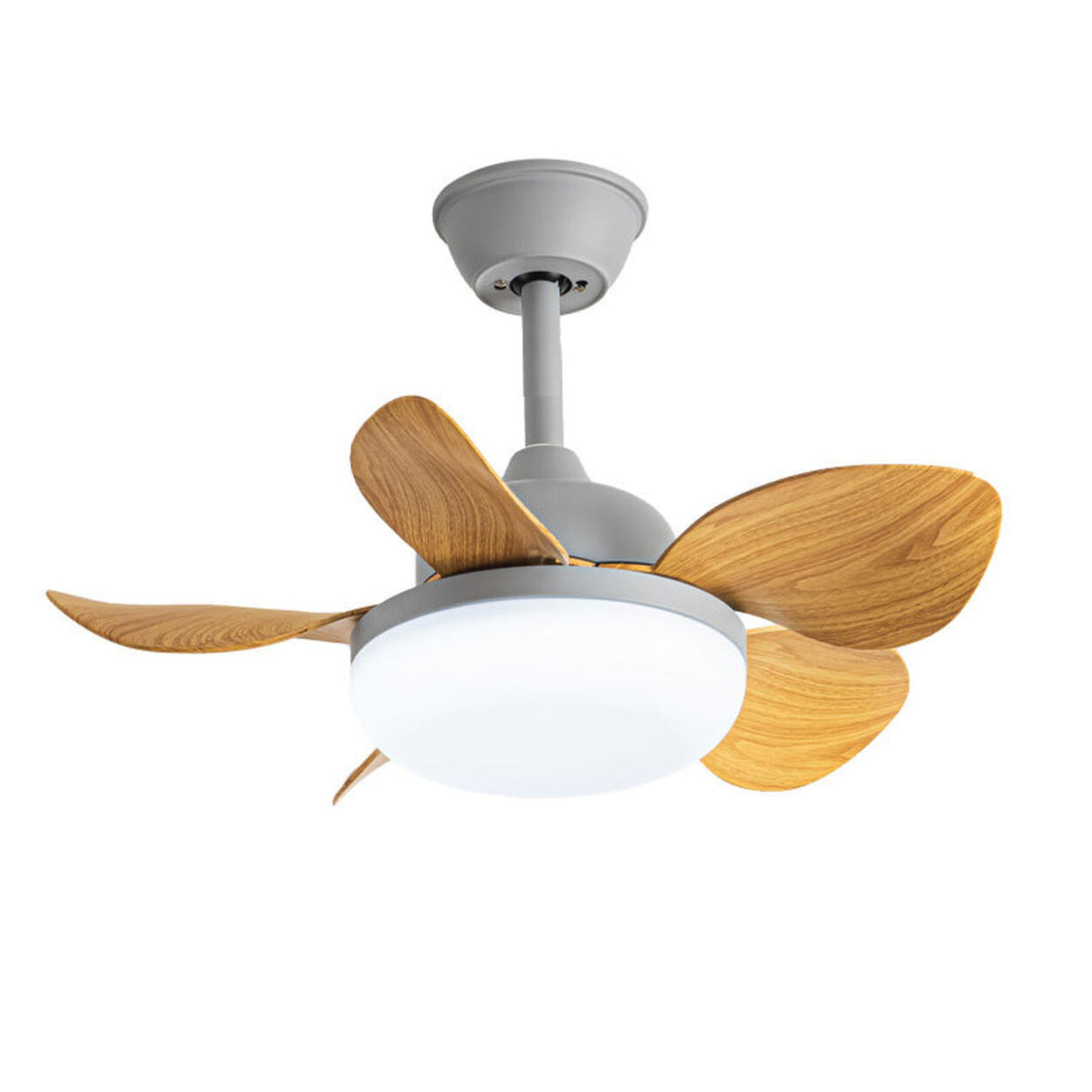 Modern Simple Flower 5 Blade Ceiling Fan with LED Light Image - 9