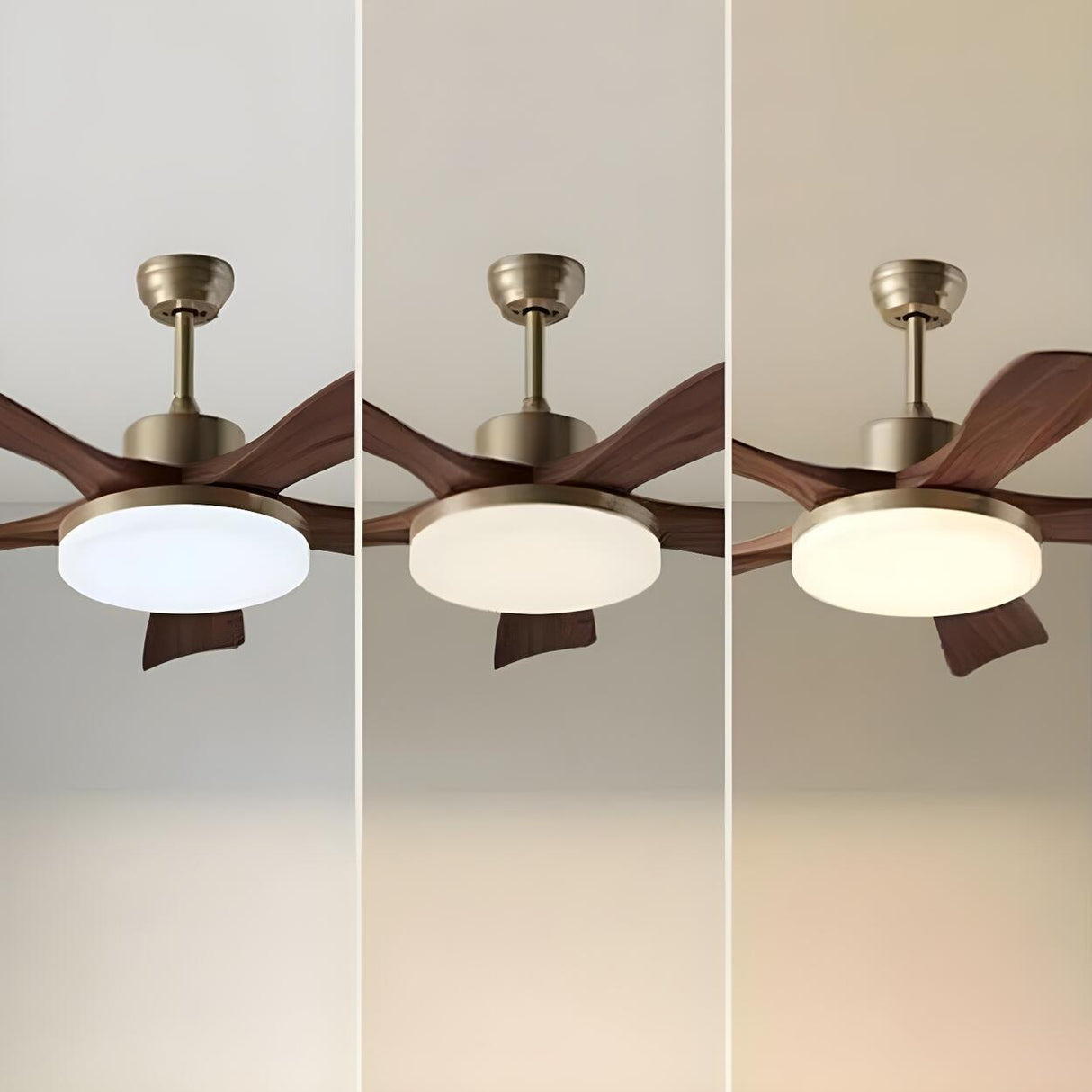 Modern Simple Industrial Ceiling Fan with LED Light Image - 10