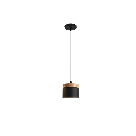 Modern Simplicity Metal Cylinder Metal Bedroom Pendant Light Image - 2