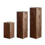 Modern Square Solid Wood Black Brown Floor Plant Stand Image - 19