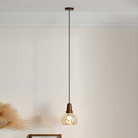 Modern Walnut Clear Glass Dome Pendant Light Image - 2