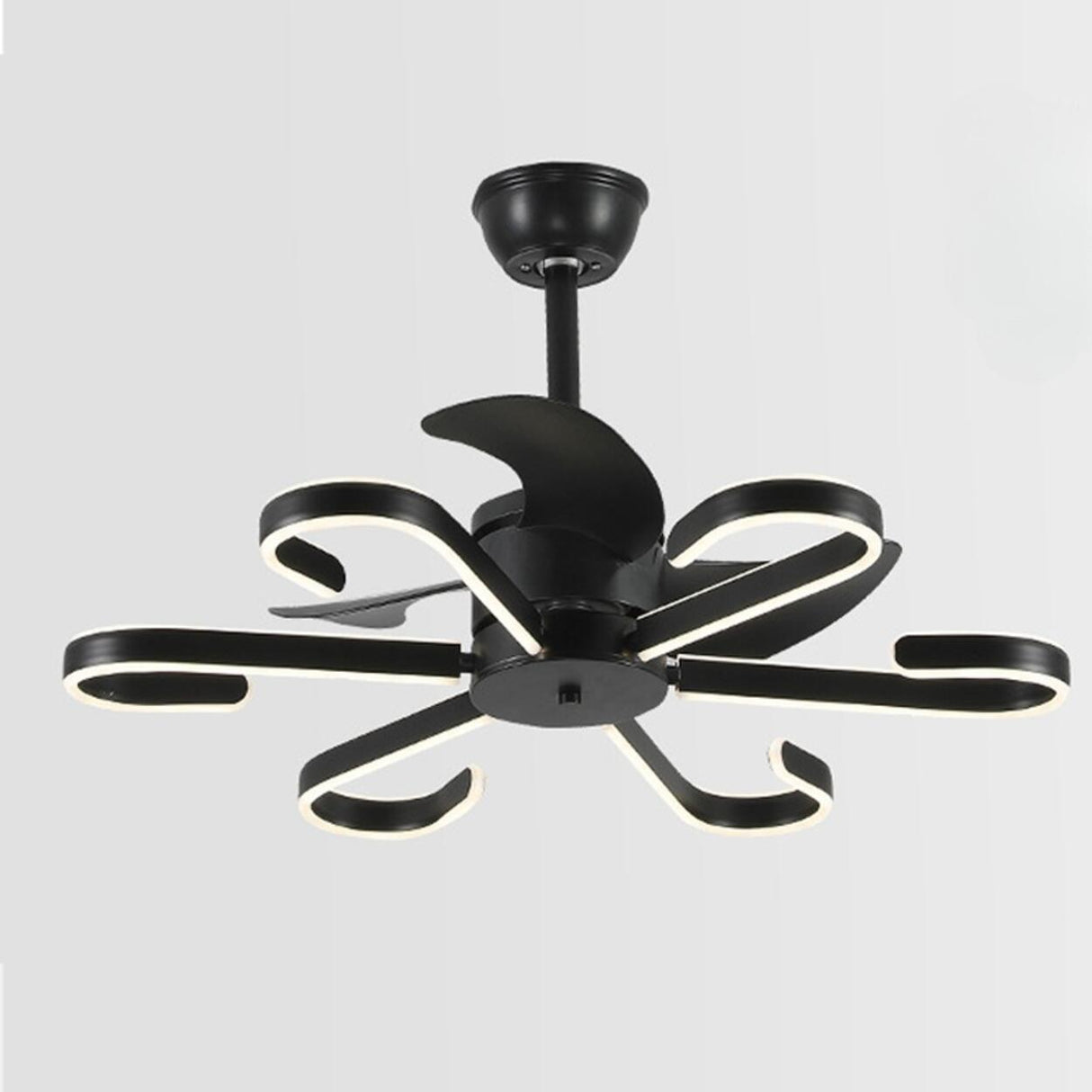 Modern White Flower Remote LED Ceiling Fan with Light Image - 12