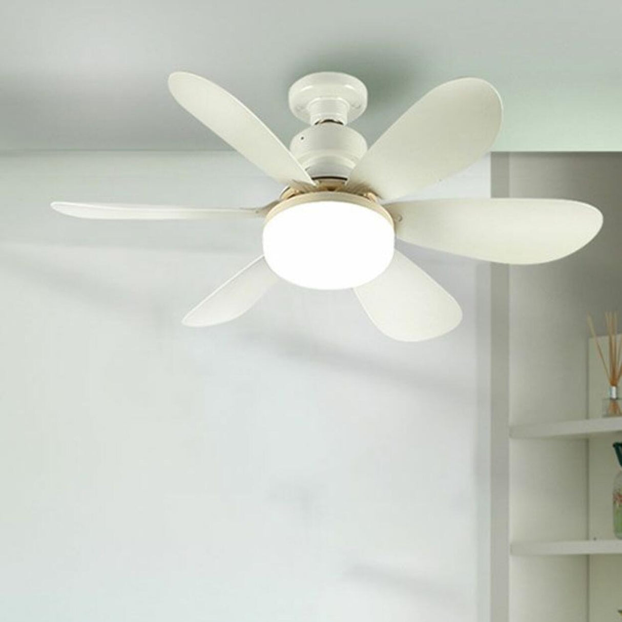 Modern White Shade 5 Blades Ceiling Fan with Light Image - 6