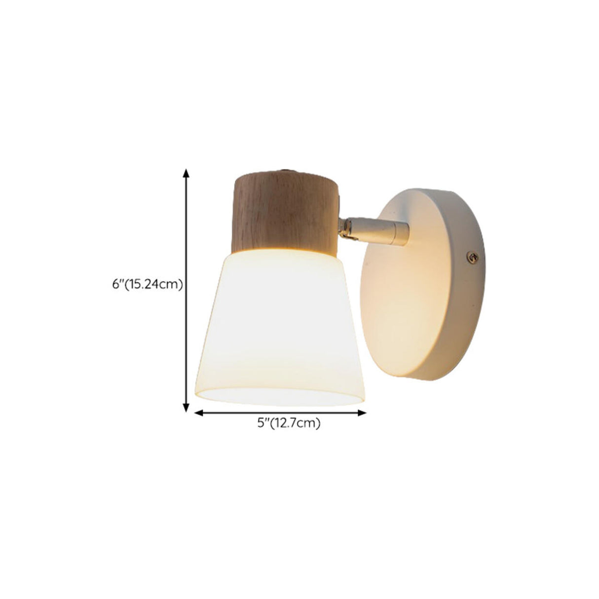 Modern Wood and Frosted Glass Vanity Wall Light 