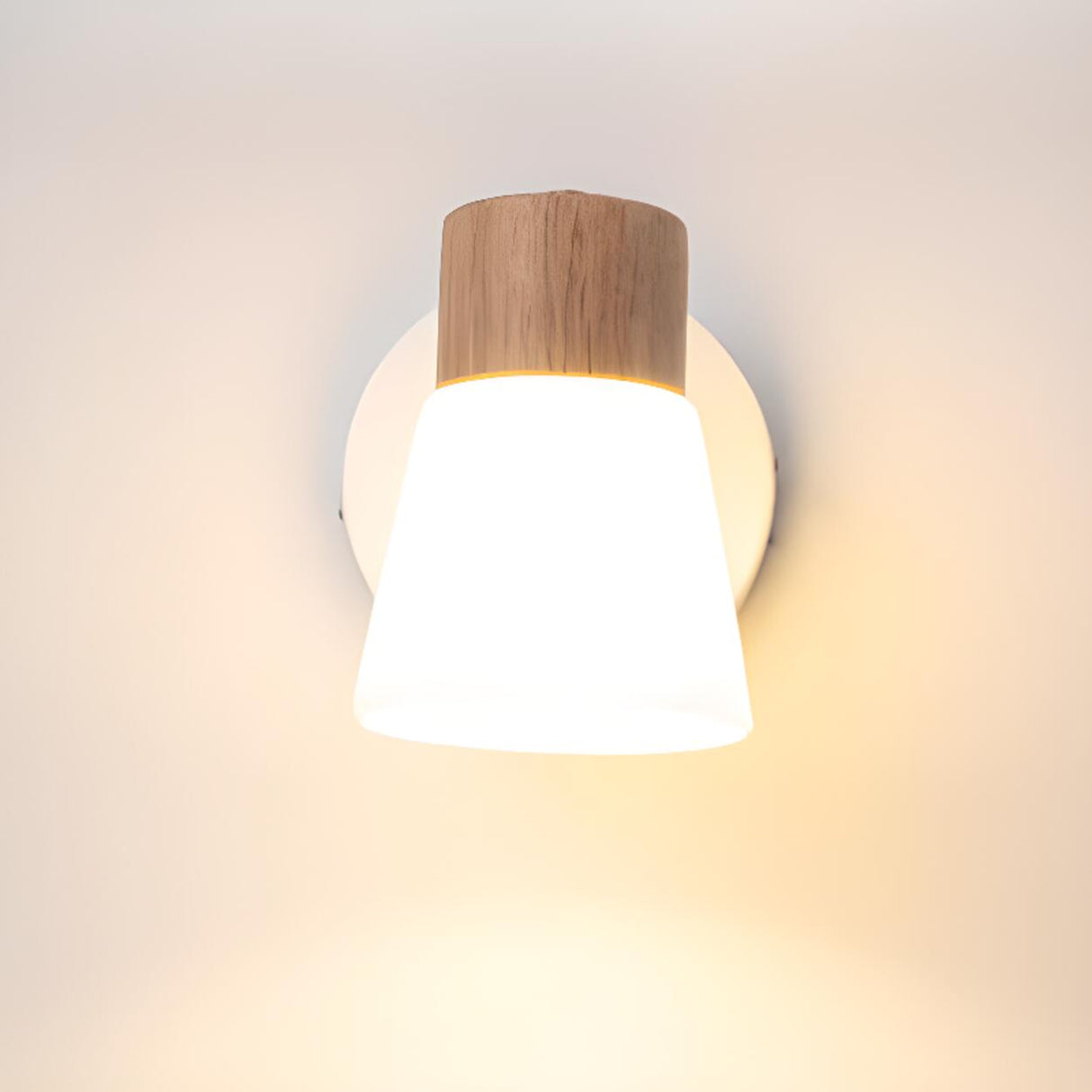 Modern Wood and Frosted Glass Vanity Wall Light Image - 8