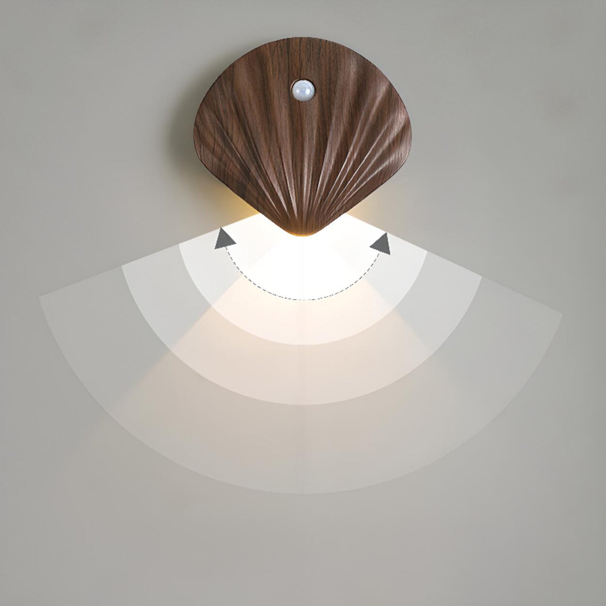 Modern Wood Color Shell Bedside Metal Wall Sconce Image - 8