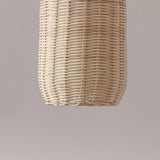 Natural Cane Woven Rattan Bottle Pendant Light Set Image - 14