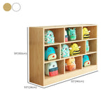 Natural Finish Wood Storage Cubitac Display Cabinets Image - 36