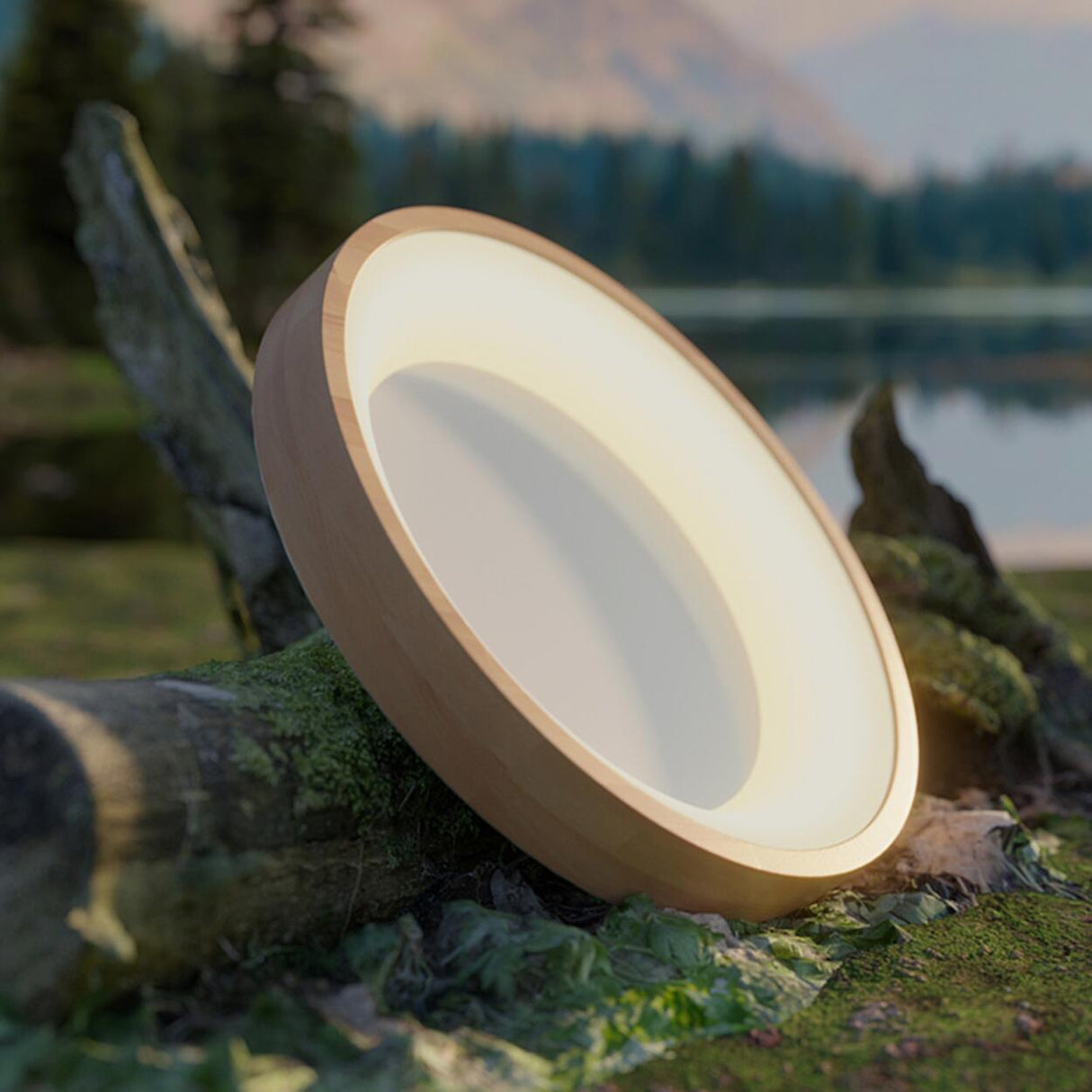 Natural Minimalist Round Wooden Flush Mount Light Image - 4