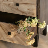 Natural Wood Black Base Horizontal Chest with Drawers Image - 8