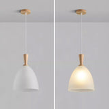 Natural Wood Clear Frosted Glass Dome Pendant Lights Image - 15