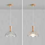 Natural Wood Clear Frosted Glass Dome Pendant Lights Image - 16