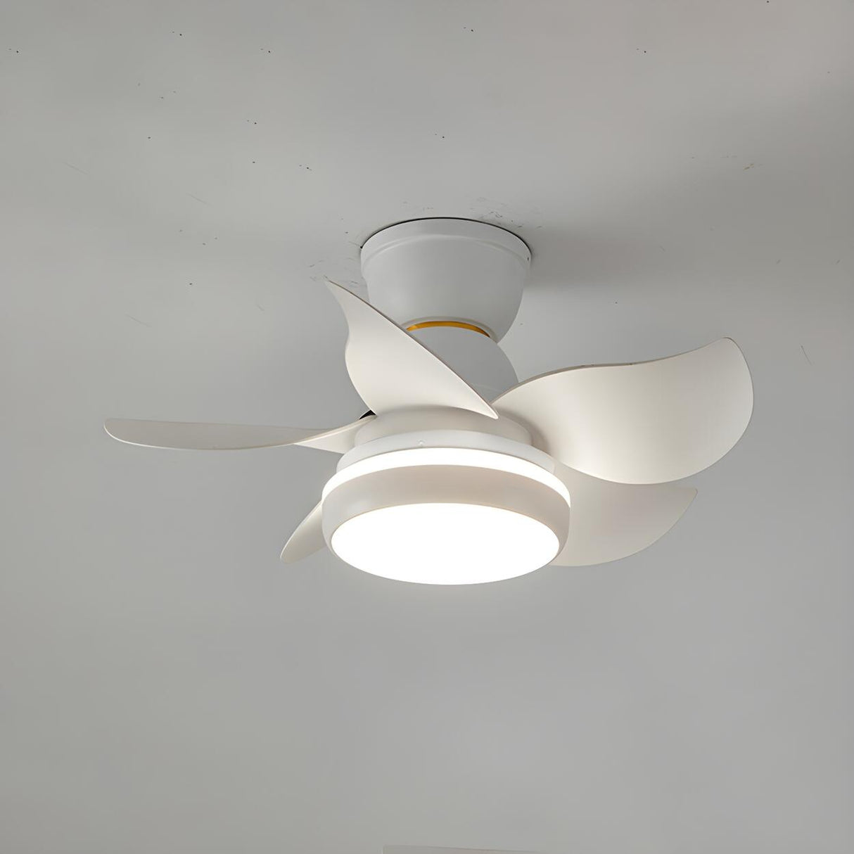 Nordic 5 Blade Simple Modern Ceiling Fan with Light Image - 4