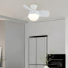 Nordic Simple 3-Blade Ball Shape Ceiling Fan with Light Image - 18