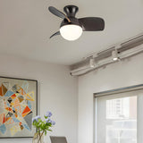 Nordic Simple 3-Blade Ball Shape Ceiling Fan with Light Image - 19