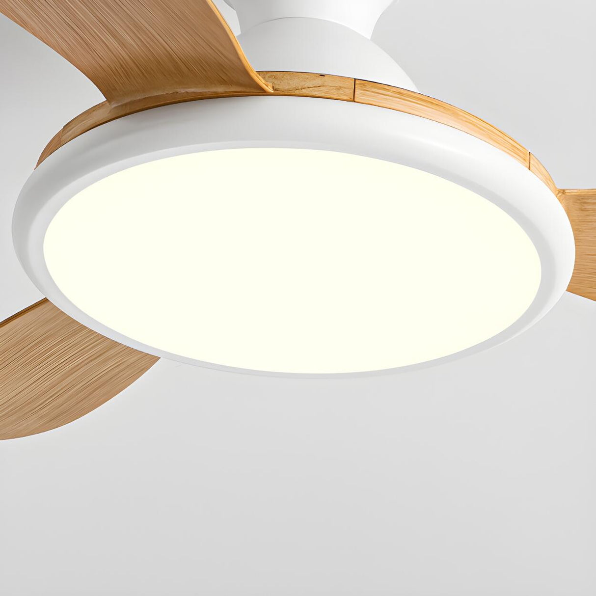 Nordic Style Fashion 3-Blade Ceiling Fan with LED Light Image - 12