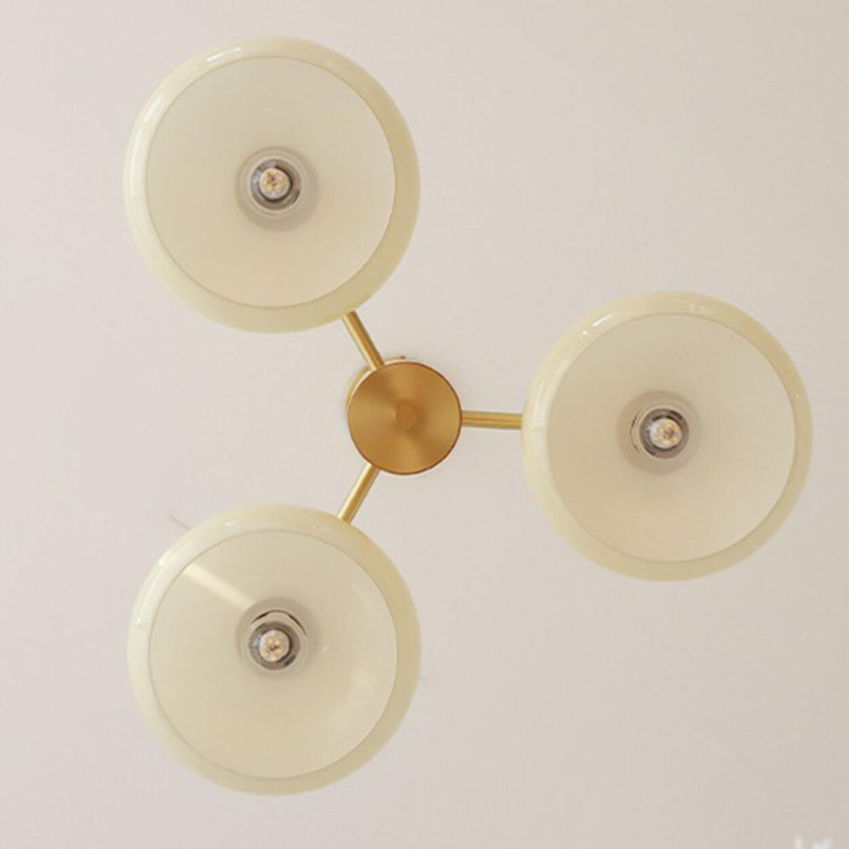 Nordic Wood Beige White Glass Dome Chandelier Image - 7