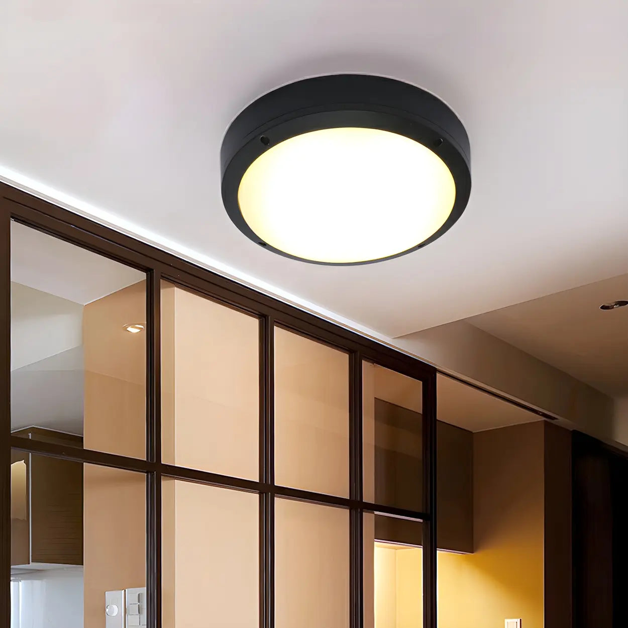 Outdoor Contemporary Black Round LED Flush Mount Light Image - 2