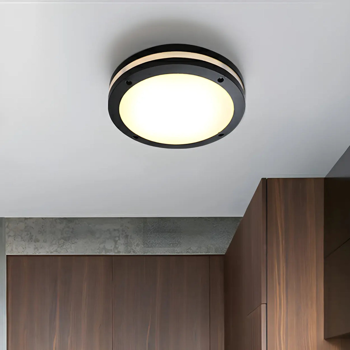 Outdoor Contemporary Black Round LED Flush Mount Light Image - 5