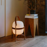 Portable Globe Wooden Frame LED Cestita Floor Lamp Image - 4