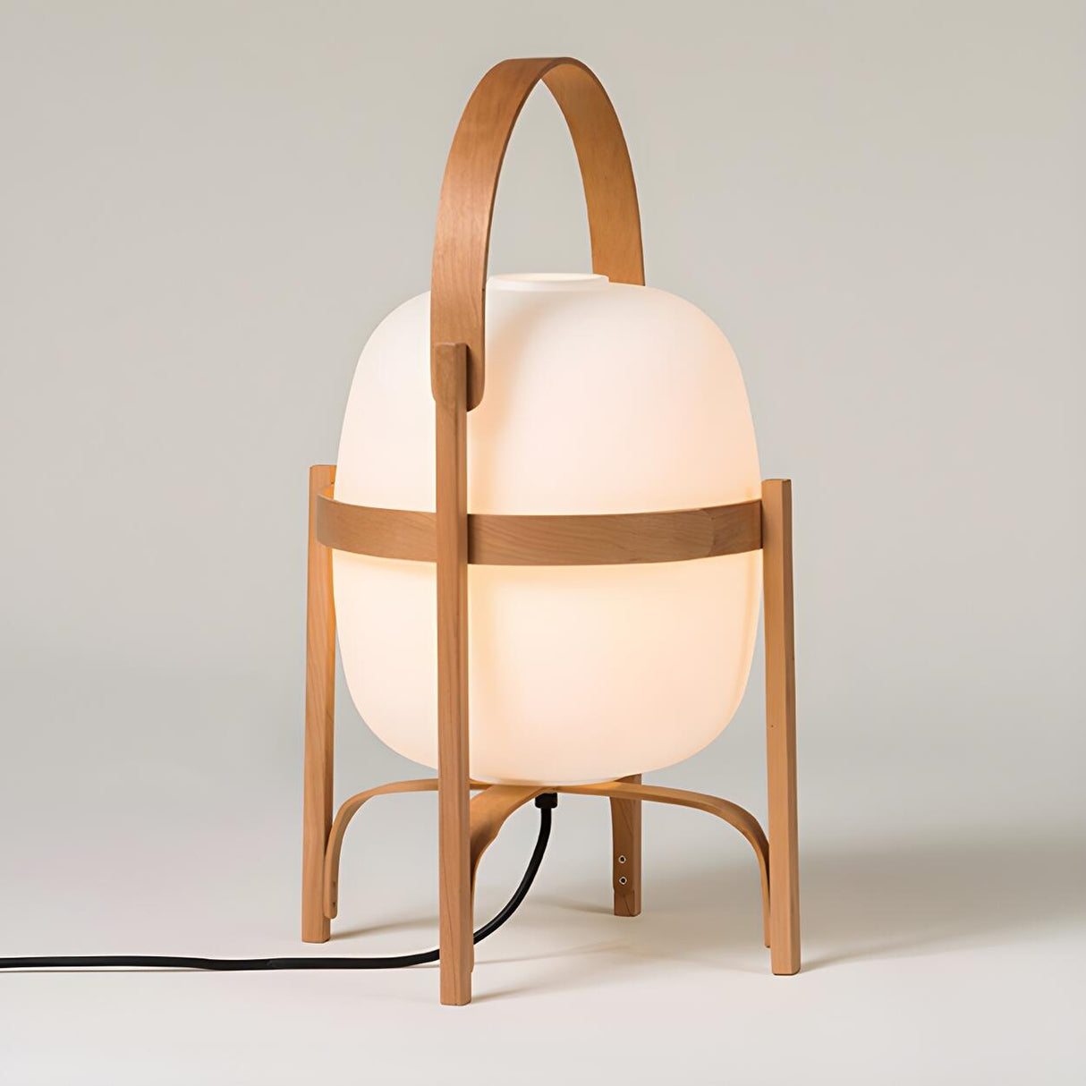 Portable Globe Wooden Frame LED Cestita Floor Lamp Image - 8